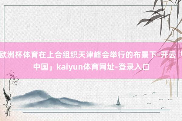 欧洲杯体育在上合组织天津峰会举行的布景下-开云「中国」kaiyun体育网址-登录入口