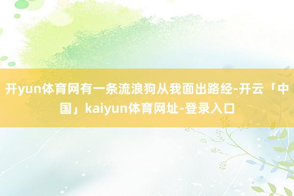 开yun体育网有一条流浪狗从我面出路经-开云「中国」kaiyun体育网址-登录入口