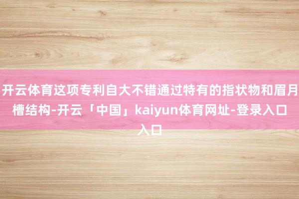 开云体育这项专利自大不错通过特有的指状物和眉月槽结构-开云「中国」kaiyun体育网址-登录入口