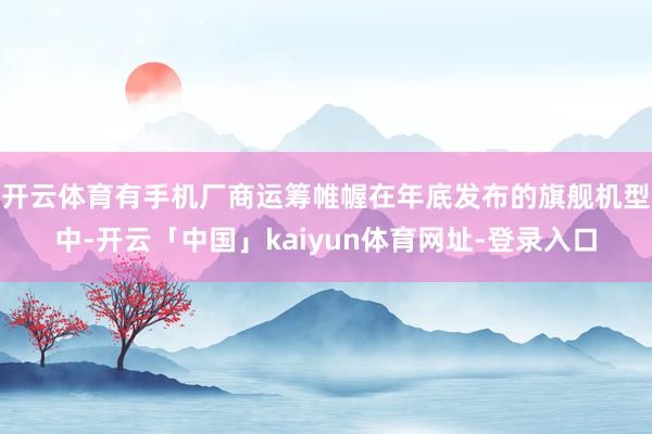 开云体育有手机厂商运筹帷幄在年底发布的旗舰机型中-开云「中国」kaiyun体育网址-登录入口