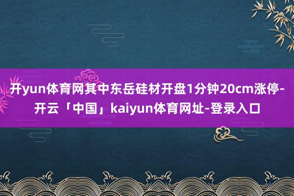 开yun体育网其中东岳硅材开盘1分钟20cm涨停-开云「中国」kaiyun体育网址-登录入口