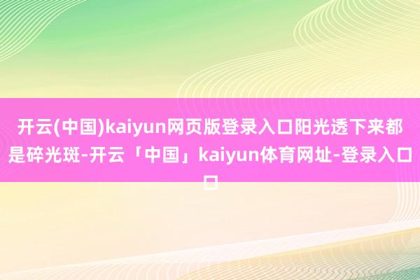 开云(中国)kaiyun网页版登录入口阳光透下来都是碎光斑-开云「中国」kaiyun体育网址-登录入口