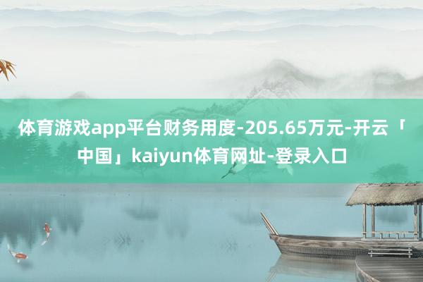 体育游戏app平台财务用度-205.65万元-开云「中国」kaiyun体育网址-登录入口