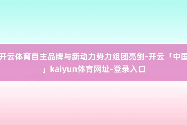 开云体育自主品牌与新动力势力组团亮剑-开云「中国」kaiyun体育网址-登录入口